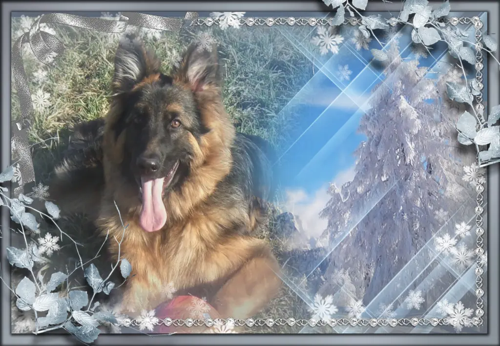 Andachtsbild von Ukochany Misieńku❤️❤️❤️