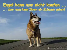 Andachtsbild von Brigitte mit Nelly, Benny und Axel im Herzen