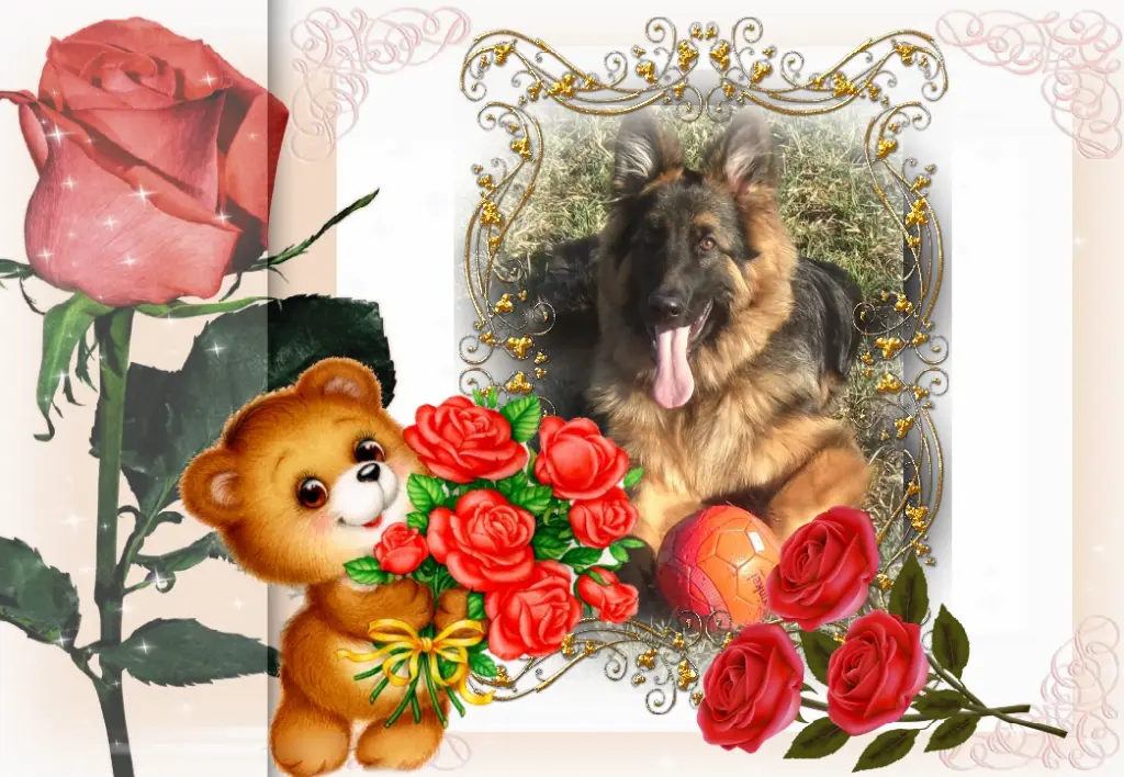 Andachtsbild von Śpij Kochanie❤️❤️❤️