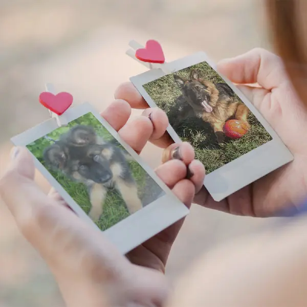 Andachtsbild von Dzień Dobry Misieńku❤️❤️❤️