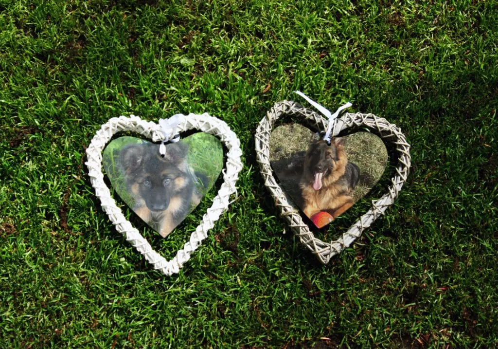 Andachtsbild von Dobrej Nocki Misieńku❤️❤️❤️