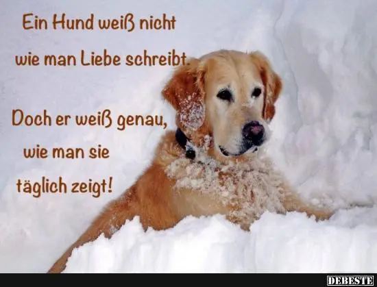 Andachtsbild von Kathrin mit Susi im Herzen