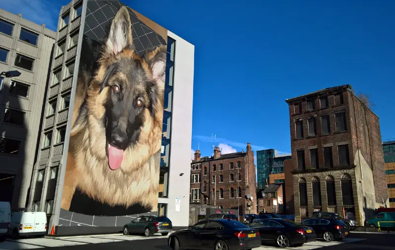 Andachtsbild von Dzień Dobry Misieńku❤️❤️❤️