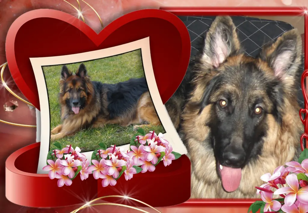 Andachtsbild von Dzień Dobry Misieńku❤️❤️❤️