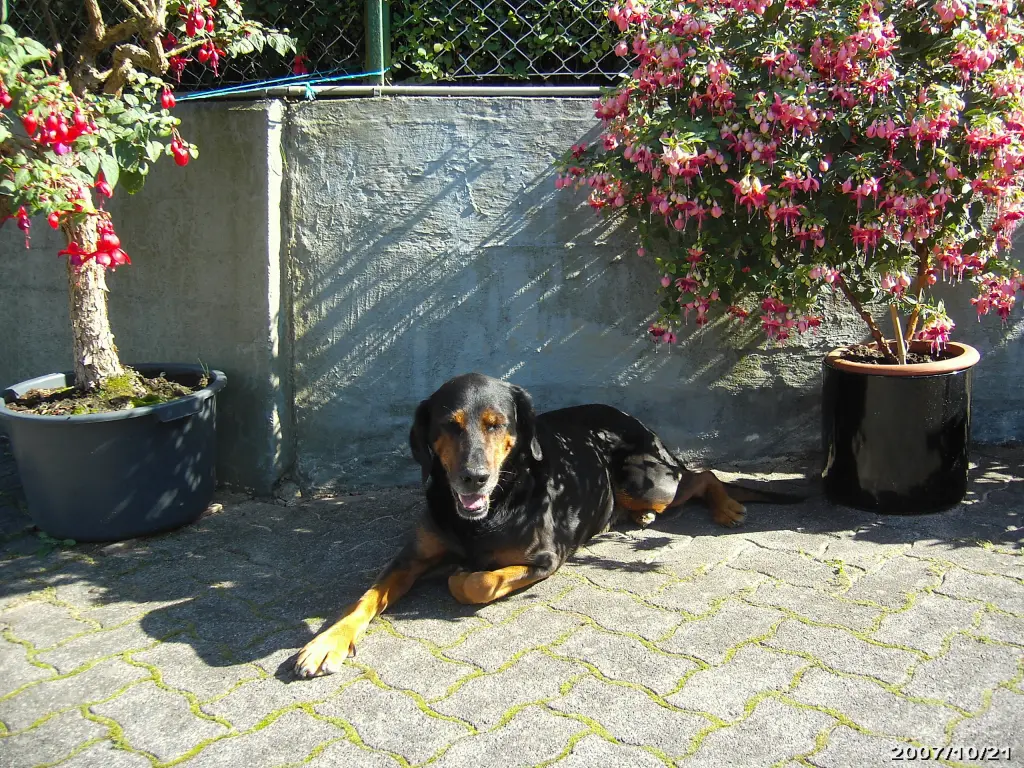 Andachtsbild von Benny aus dem Regenbogenland