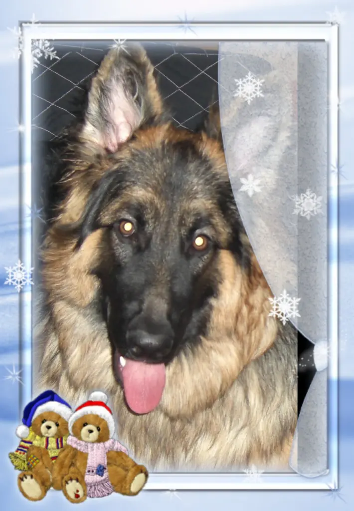 Andachtsbild von Dobrej Nocki Misieńku❤️❤️❤️