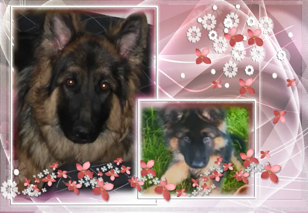 Andachtsbild von Dzień Dobry Ukochany Misieńku❤️❤️❤️