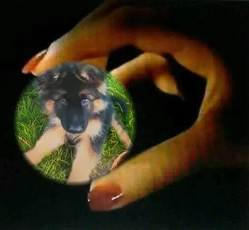 Andachtsbild von Dobrej Nocki Misieńku❤️❤️❤️