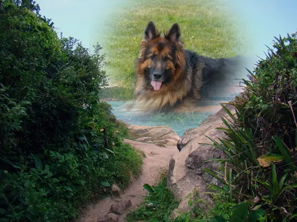 Andachtsbild von Dzień Dobry Misieńku❤️❤️❤️