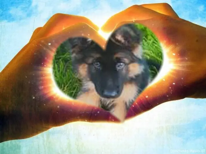 Andachtsbild von Kochany Misiu❤❤❤