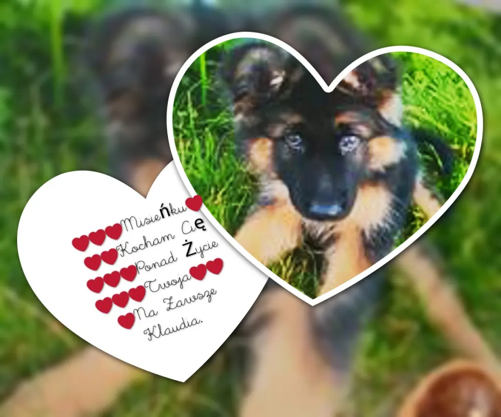 Andachtsbild von Dobrej Nocki Misieńku❤️❤️❤️