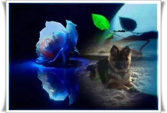 Andachtsbild von Dobrej Nocki Misieńku❤️❤️❤️