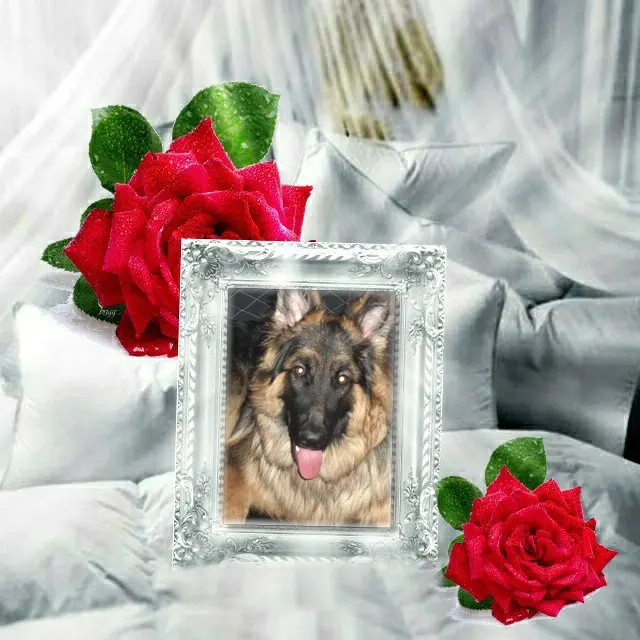 Andachtsbild von Ukochany Misieńku❤️❤️❤️