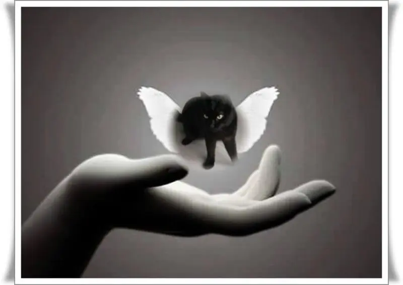 Andachtsbild von  Anja mit Joy im Herzen ❤