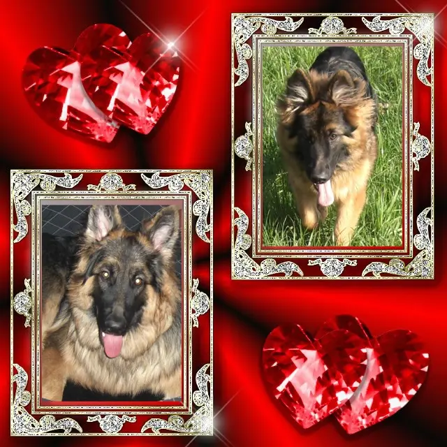 Andachtsbild von Kochany Misiu❤❤❤