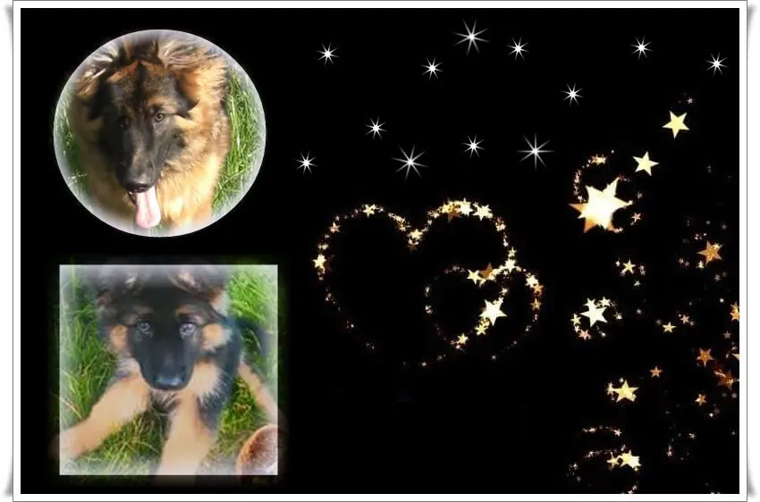 Andachtsbild von Dobrej Nocki Misieńku❤️❤️❤️