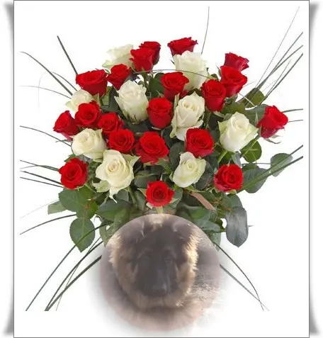 Andachtsbild von Kochany Misiu❤❤❤