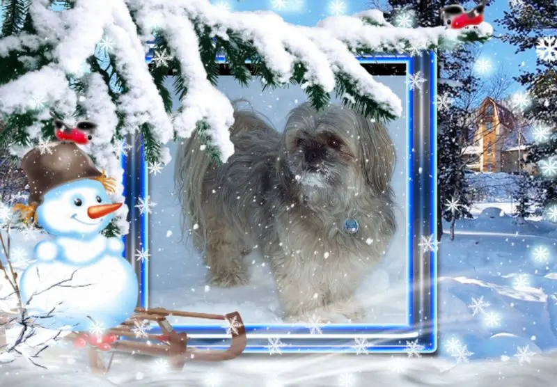 Andachtsbild von Kathrin mit Susi im Herzen