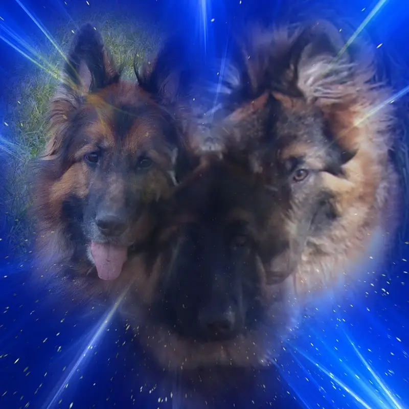 Andachtsbild von Dobrej Nocki Misieńku❤️❤️❤️