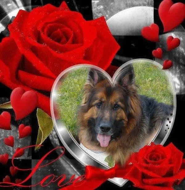 Andachtsbild von Meine Liebe Misieńku❤️❤️❤️