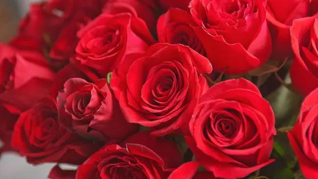 Andachtsbild von Brigitta