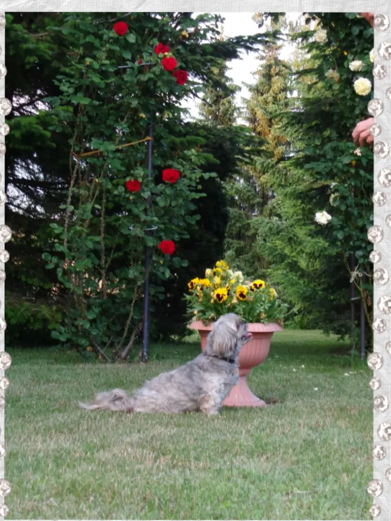 Andachtsbild von Kathrin mit Susi im Herzen