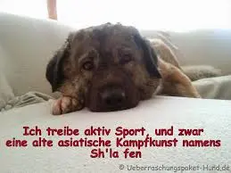 Andachtsbild von Brigitte mit Nelly, Benny und Axel im Herzen