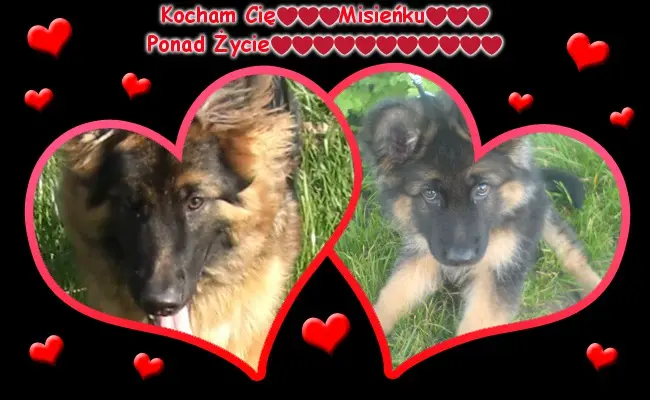 Andachtsbild von Mój Misiulek❤❤❤