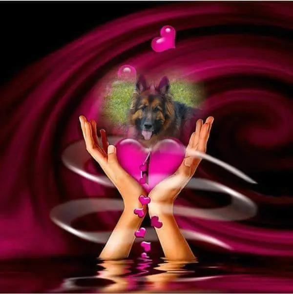 Andachtsbild von Dobrej Nocki Misieńku❤️❤️❤️