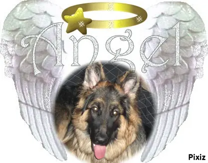 Andachtsbild von Dobrej Nocki Misieńku❤️❤️❤️