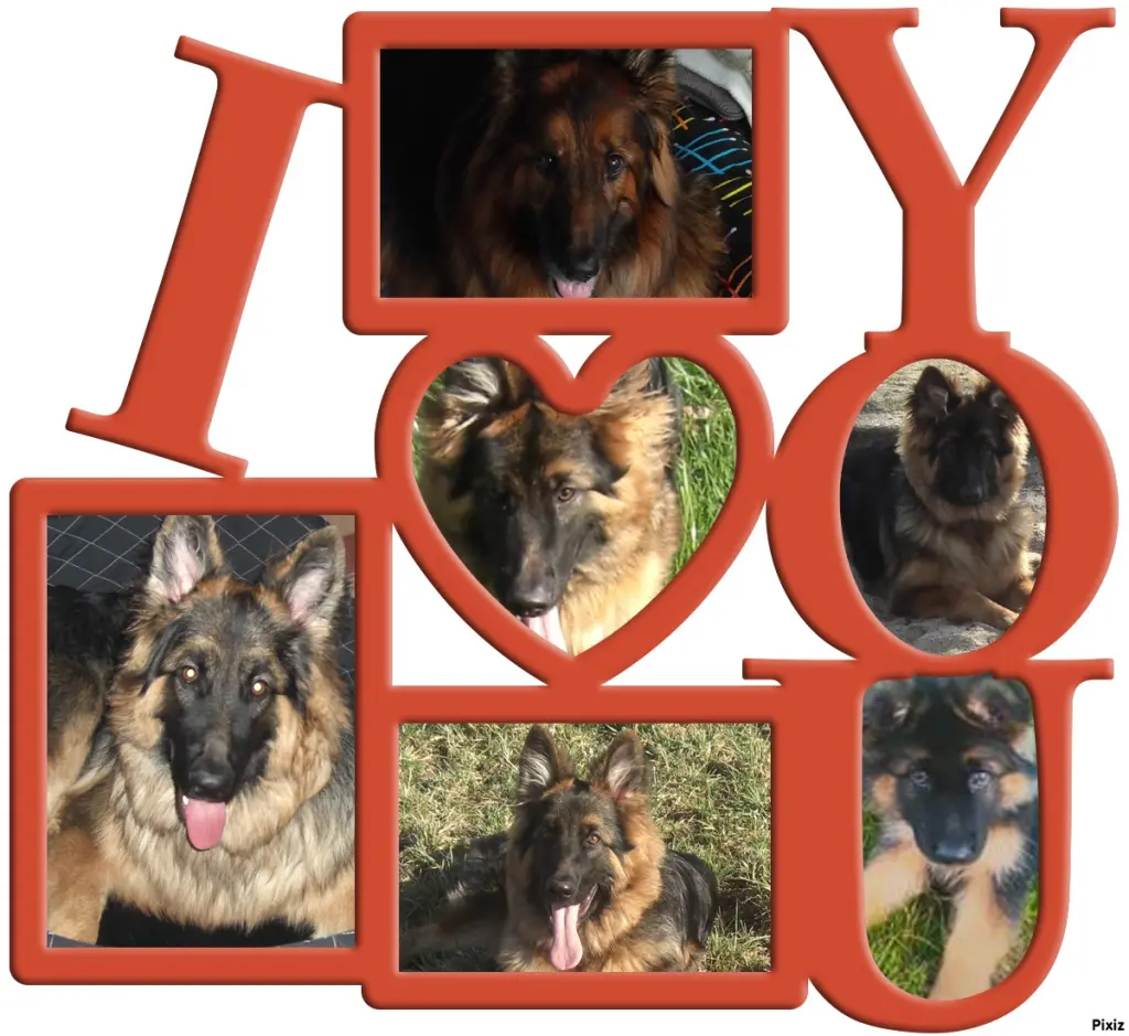 Andachtsbild von Kochany Misiu❤❤❤