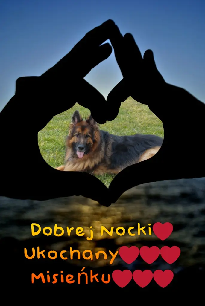 Andachtsbild von Dobrej Nocki Misieńku❤️❤️❤️