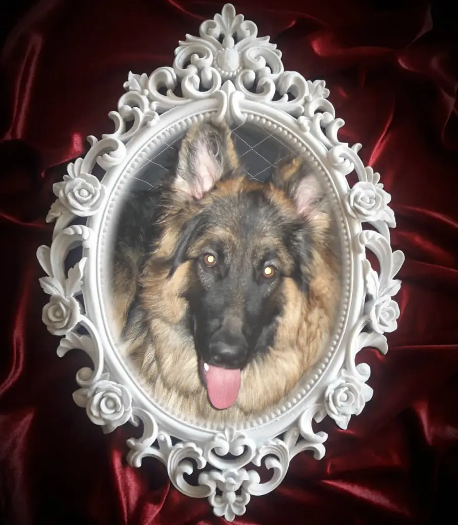 Andachtsbild von Ukochany Misieńku❤️❤️❤️