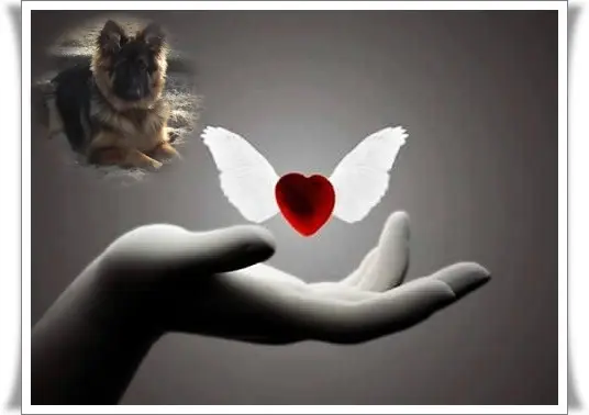 Andachtsbild von Mój Misiulek❤❤❤