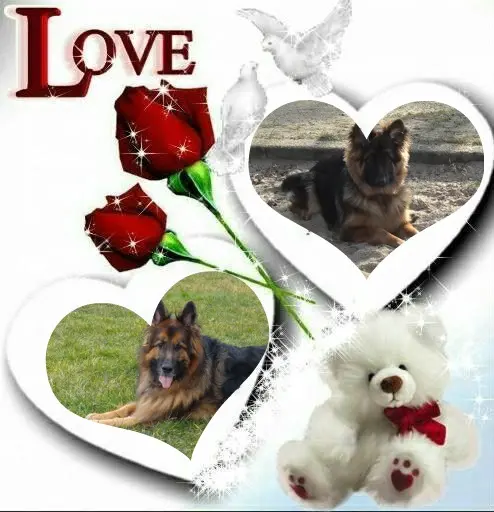 Andachtsbild von Kochany Misiu❤❤❤