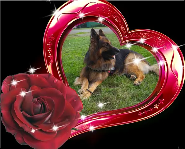 Andachtsbild von Dobrej Nocki Misieńku❤️❤️❤️