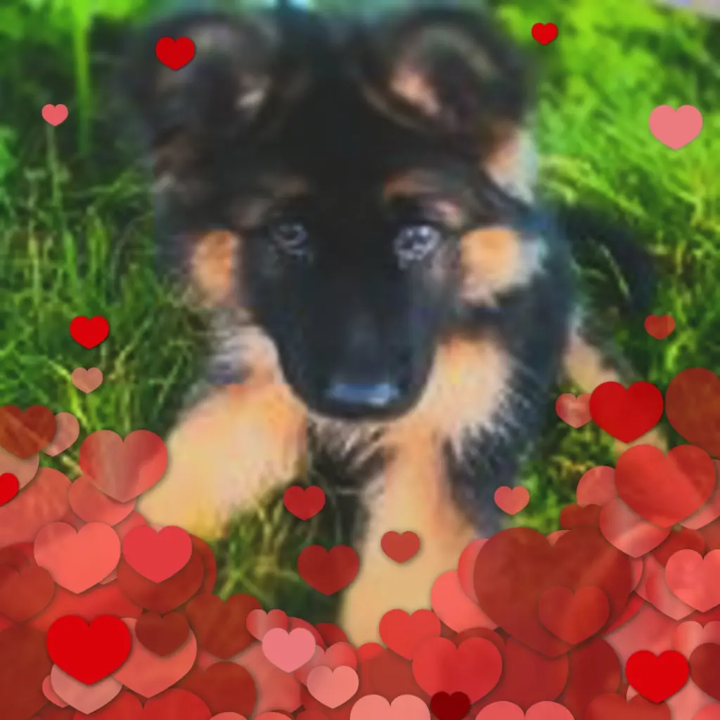 Andachtsbild von Mój Misiulek❤❤❤