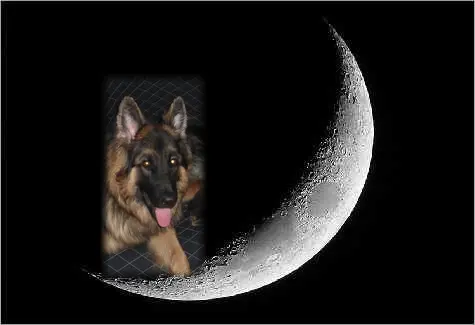 Andachtsbild von Dobrej Nocki Misieńku❤️❤️❤️