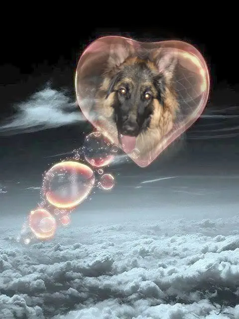 Andachtsbild von Dobrej Nocki Misieńku❤️❤️❤️