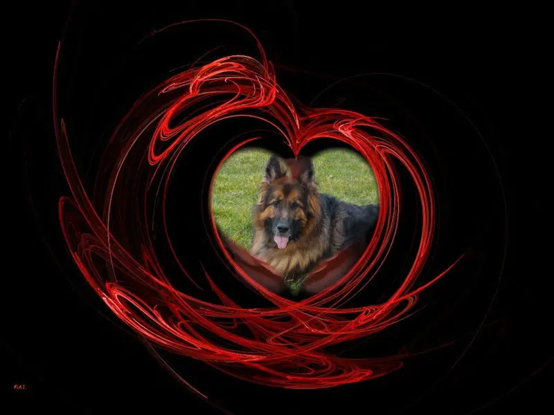 Andachtsbild von Dobrej Nocki Misieńku❤️❤️❤️