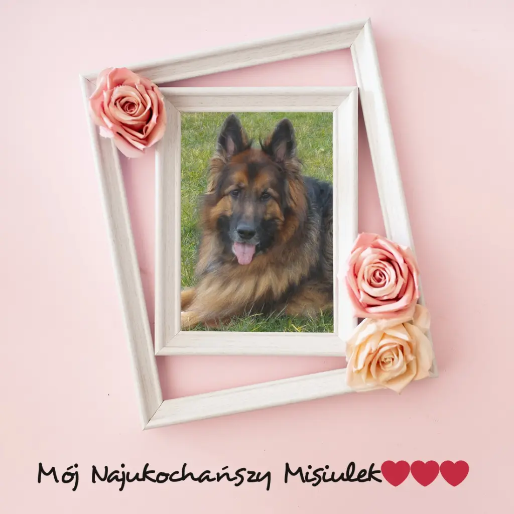 Andachtsbild von Ukochany Misieńku❤️❤️❤️