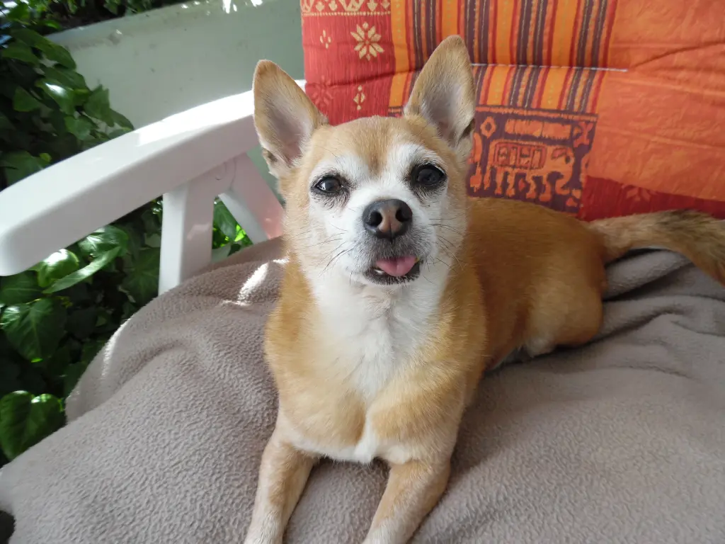 Andachtsbild von Irene mit Jimmy tief im Herzen