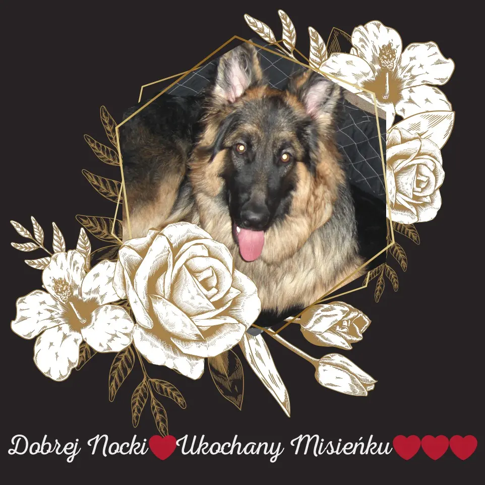 Andachtsbild von Dobrej Nocki Misieńku❤️❤️❤️