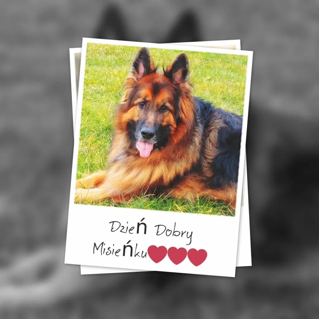 Andachtsbild von Mój Misiulek❤❤❤