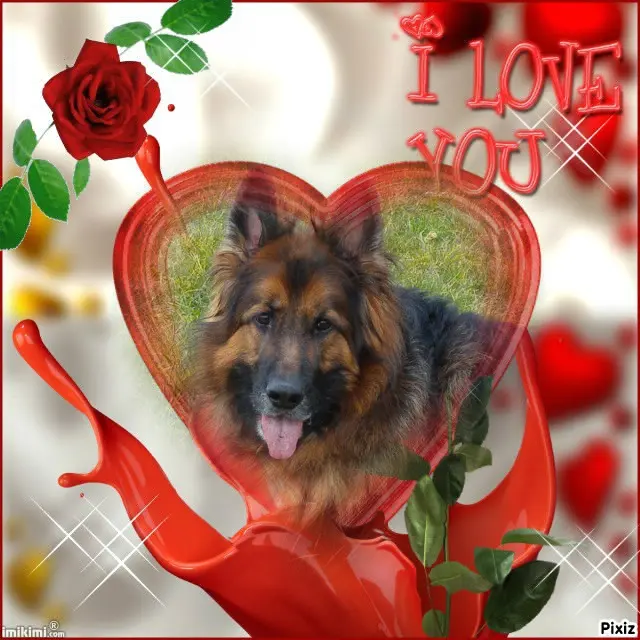 Andachtsbild von ❤️❤️❤️MISIU❤️❤️❤️