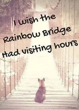 Andachtsbild von ❤❤❤