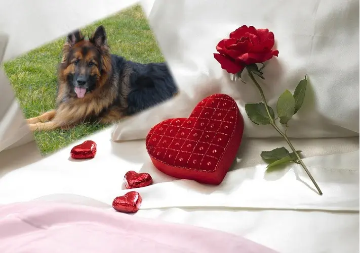 Andachtsbild von ❤️❤️❤️