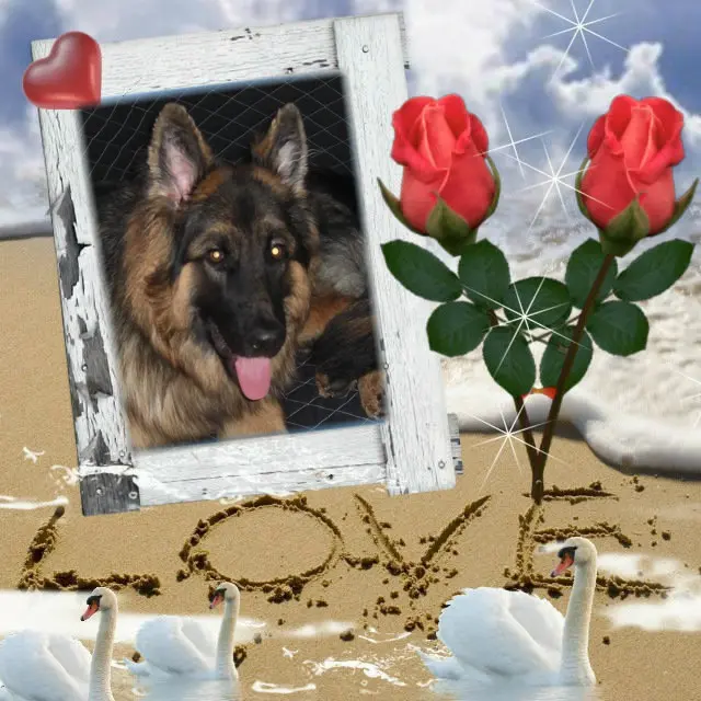 Andachtsbild von ❤️❤️❤️