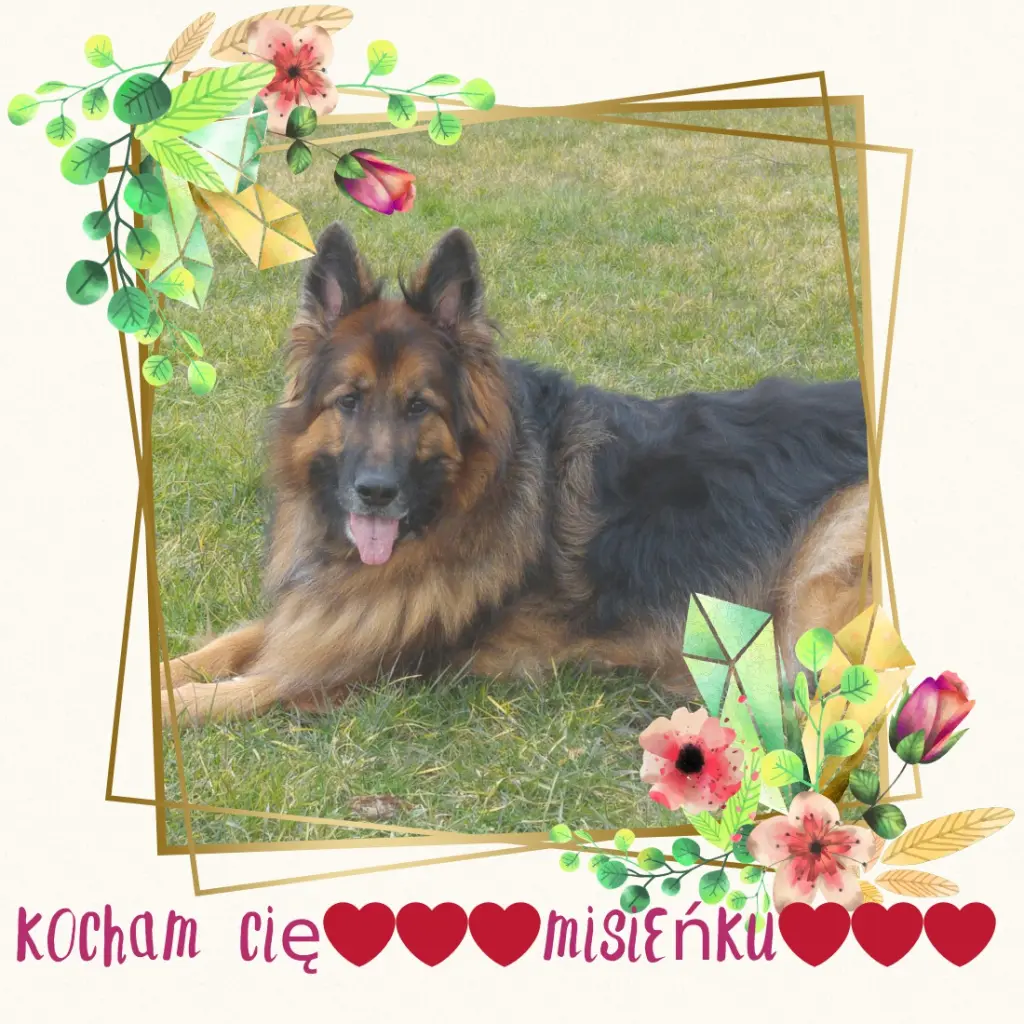 Andachtsbild von Ukochany Misieńku❤️❤️❤️