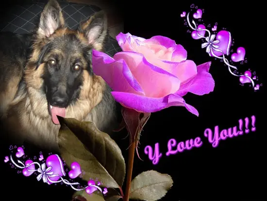 Andachtsbild von Dobrej Nocki Misieńku❤️❤️❤️